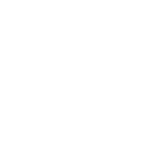 ONE Jiu-Jitsu Academy